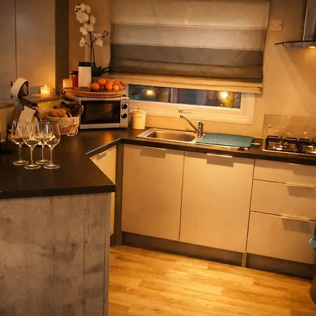 木屋 Luxus Im Schoenen Recratiepark De Veerstal 雷登